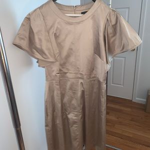Banana Republic Champagne Dress